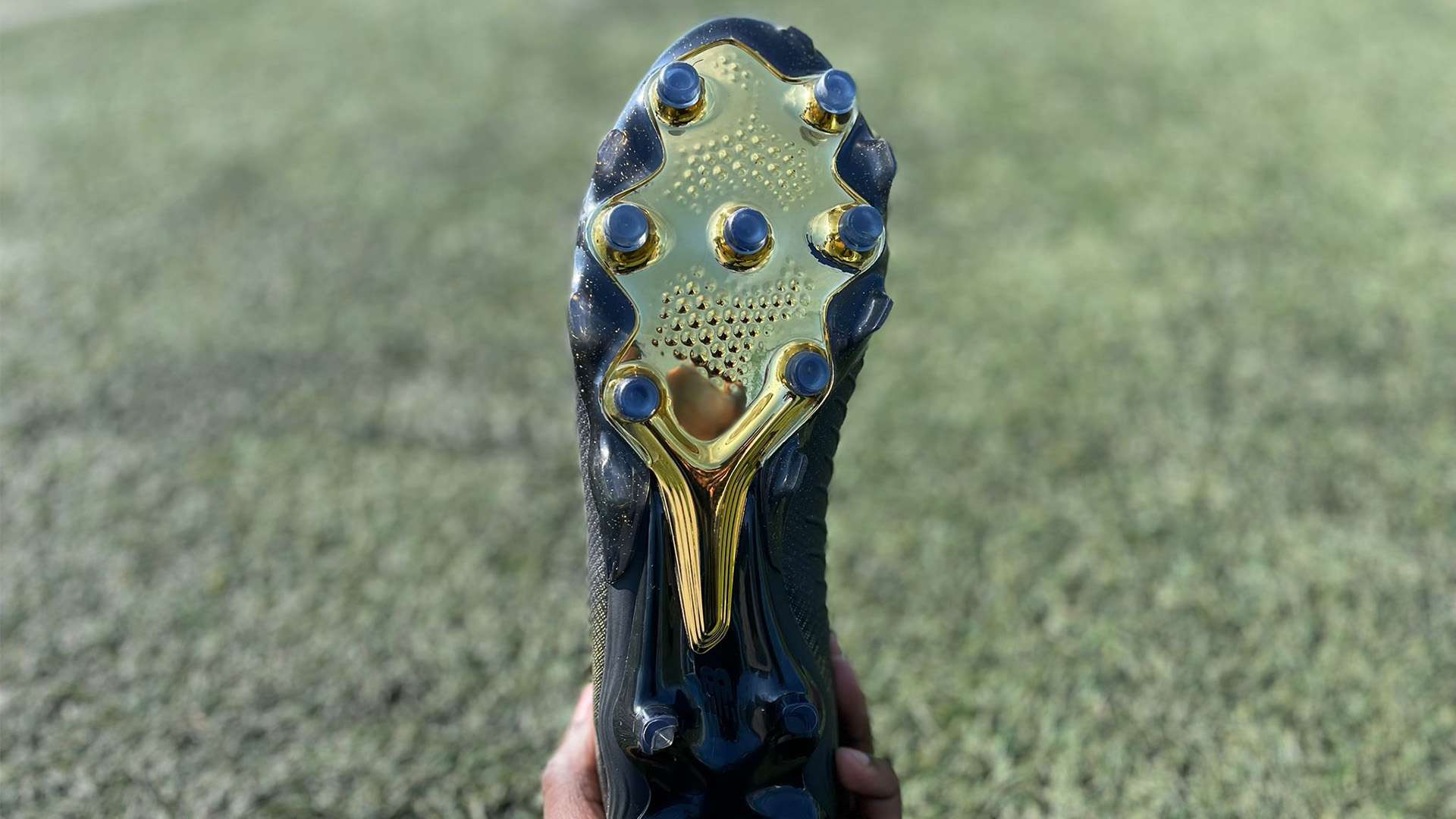 过去以培养 过去以培养