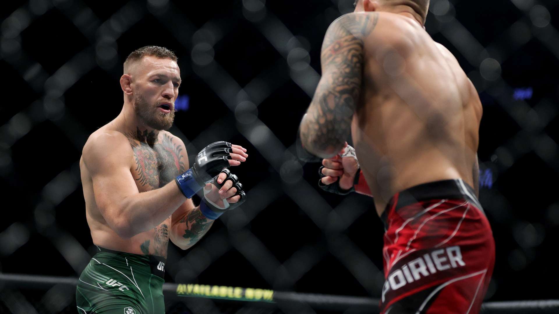 国际化视野 国际化视野